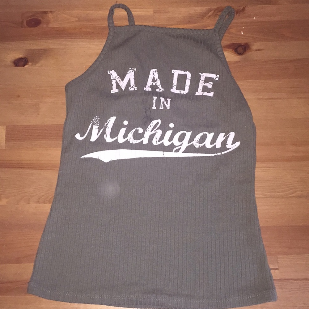 Made in Michigan crop top